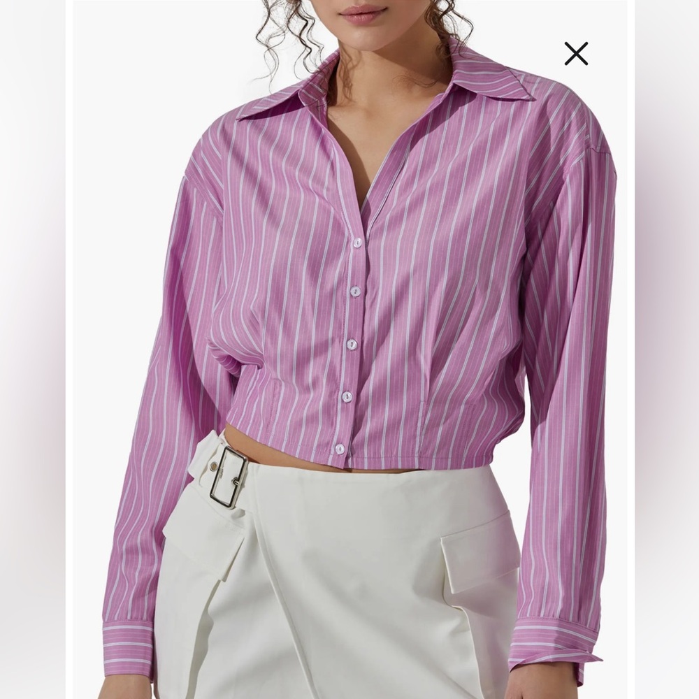 ASTR Pinstripe Cotton Crop Button-Up Shirt - Pink Stripe - Small
